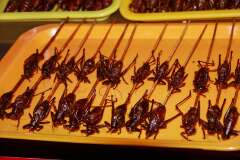 9: Chine-1027