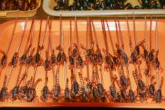 10: Chine-1028