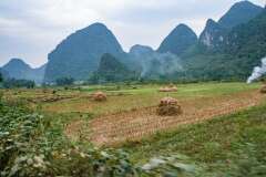 299: Chine-7314