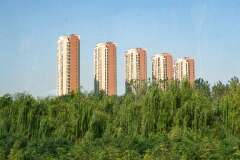 322: Chine-9011
