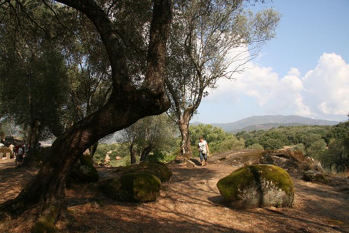 Corse-126.JPG