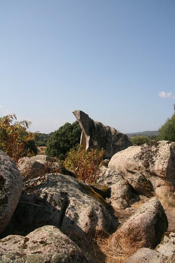 Corse-157.JPG
