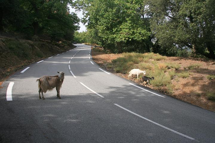 Corse-317.JPG