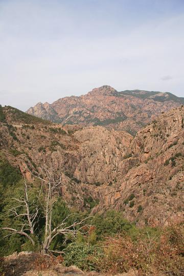Corse-332.JPG