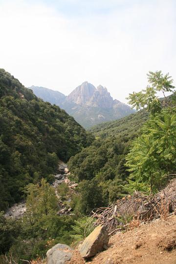 Corse-344.JPG