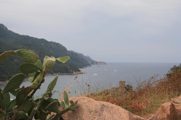 Corse-351.JPG
