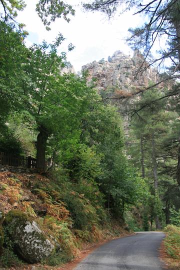 Corse-427.JPG