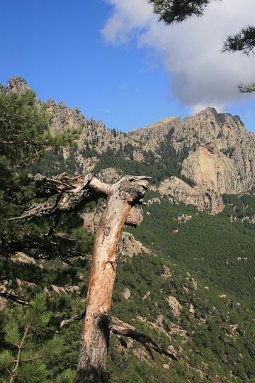 Corse-538.JPG
