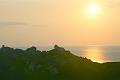 Corse-111