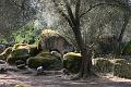Corse-127