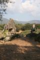 Corse-137