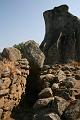 Corse-144