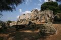 Corse-154