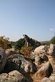 Corse-157