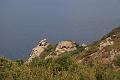 Corse-164