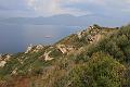 Corse-167