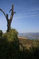 Corse-304