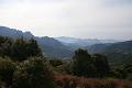 Corse-305