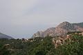 Corse-320