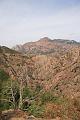 Corse-332