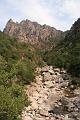 Corse-338