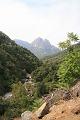 Corse-344