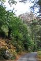 Corse-427