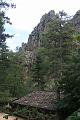 Corse-431
