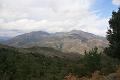 Corse-451