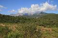 Corse-508