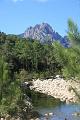 Corse-517