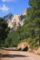 Corse-526