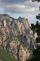 Corse-534