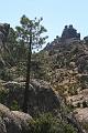 Corse-545