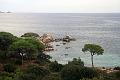 Corse-647