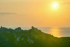4: Corse-111