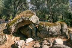10: Corse-124