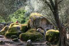 11: Corse-127