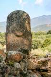 13: Corse-131