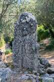 14: Corse-133