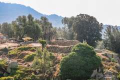 20: Corse-151