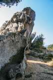 22: Corse-156