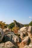 23: Corse-157