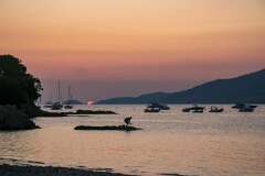 31: Corse-201