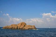 36: Corse-219