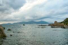 40: Corse-233