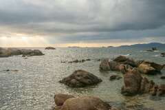 41: Corse-235
