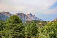 51: Corse-318