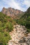 58: Corse-338