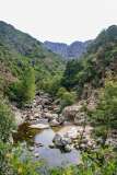 59: Corse-339